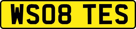 WS08TES
