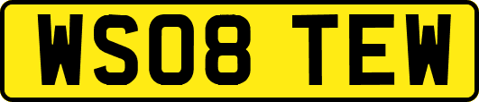 WS08TEW