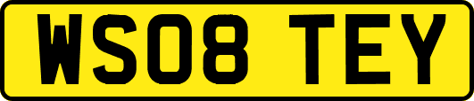 WS08TEY