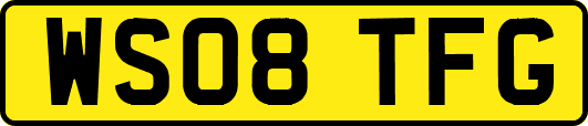 WS08TFG