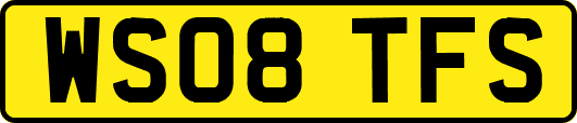WS08TFS