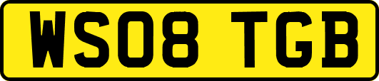 WS08TGB