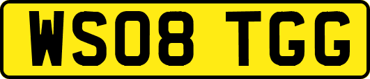 WS08TGG
