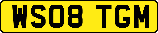 WS08TGM