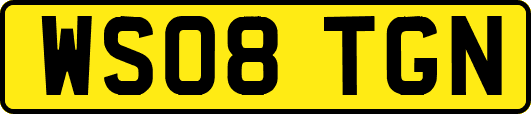 WS08TGN
