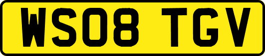 WS08TGV