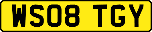 WS08TGY