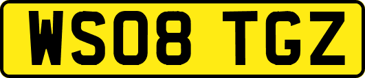 WS08TGZ