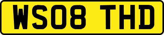 WS08THD