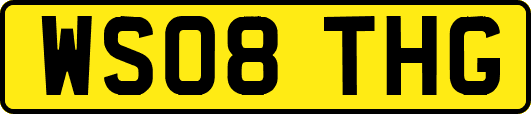 WS08THG