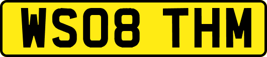 WS08THM