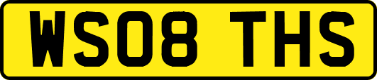 WS08THS