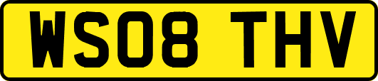 WS08THV