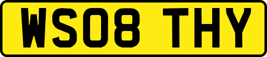 WS08THY