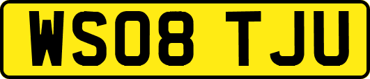 WS08TJU