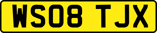 WS08TJX