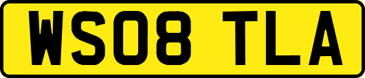 WS08TLA