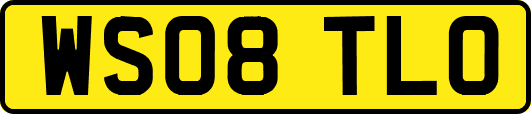 WS08TLO