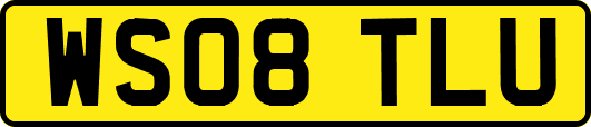 WS08TLU
