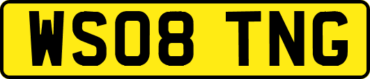 WS08TNG