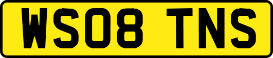 WS08TNS