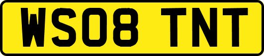 WS08TNT