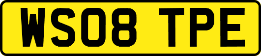 WS08TPE