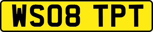 WS08TPT