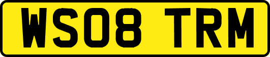 WS08TRM