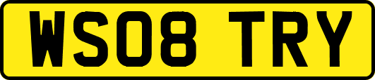 WS08TRY