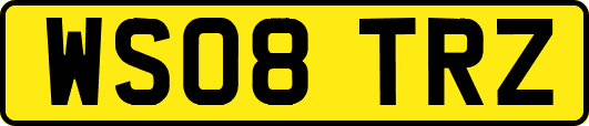 WS08TRZ