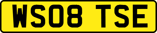 WS08TSE