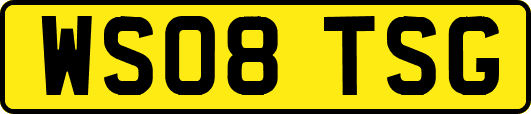 WS08TSG