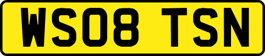 WS08TSN