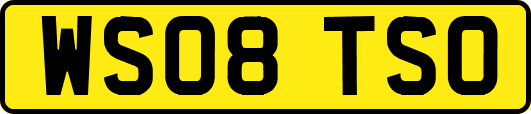 WS08TSO
