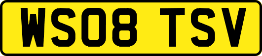 WS08TSV