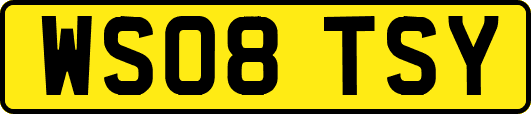 WS08TSY