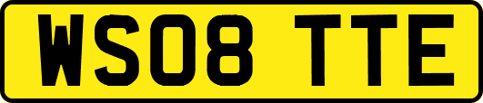 WS08TTE