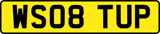 WS08TUP