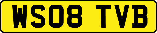 WS08TVB