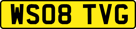 WS08TVG