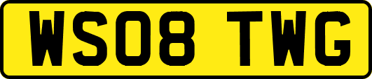 WS08TWG