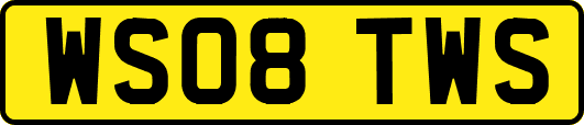 WS08TWS