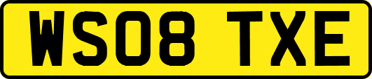 WS08TXE