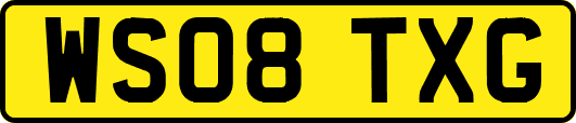 WS08TXG
