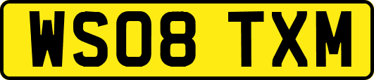 WS08TXM
