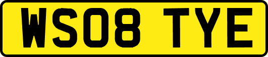 WS08TYE