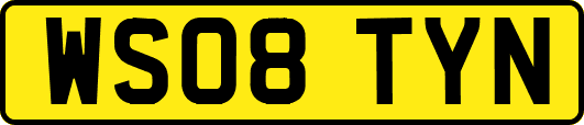 WS08TYN