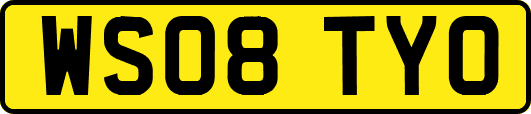 WS08TYO