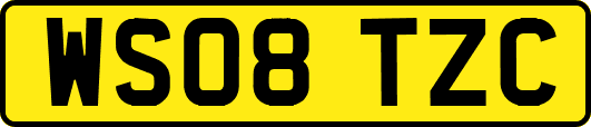 WS08TZC